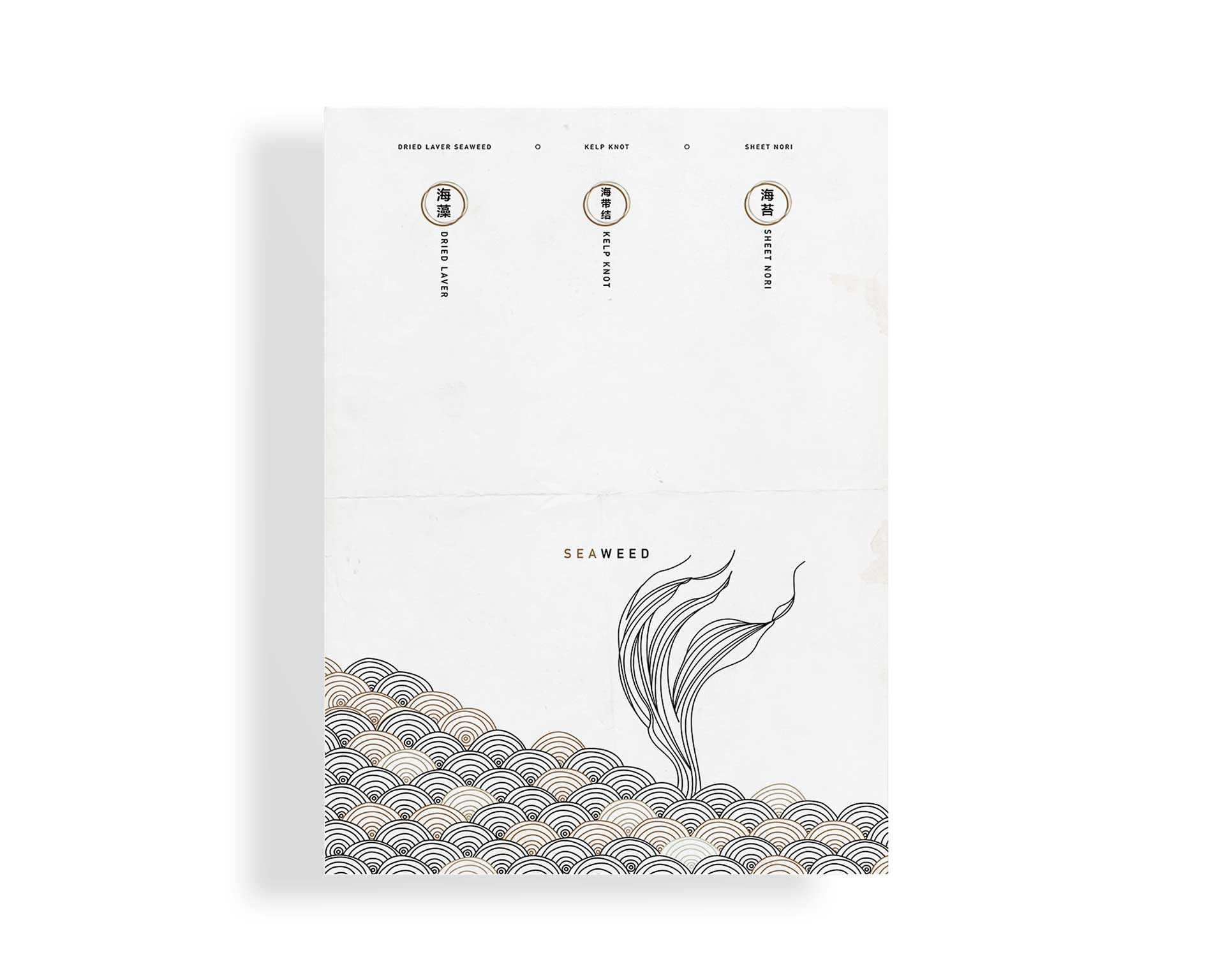 海產(chǎn)品插畫(huà)設(shè)計(jì)